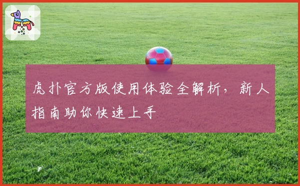虎扑官方版使用体验全解析,新人指南助你快速上手