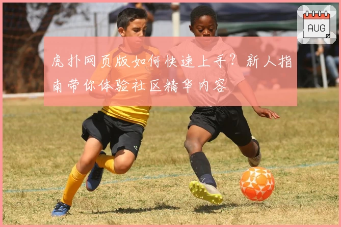 虎扑网页版如何快速上手?新人指南带你体验社区精华内容