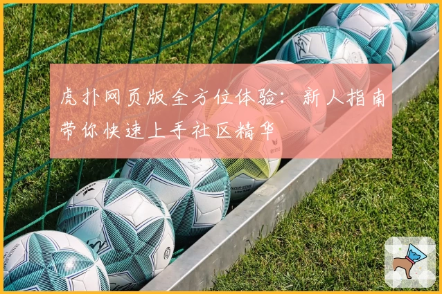 虎扑网页版全方位体验：新人指南带你快速上手社区精华