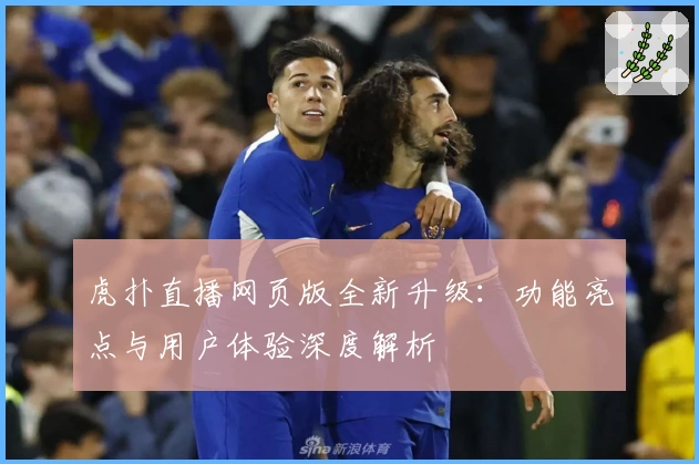 虎扑直播网页版全新升级：功能亮点与用户体验深度解析