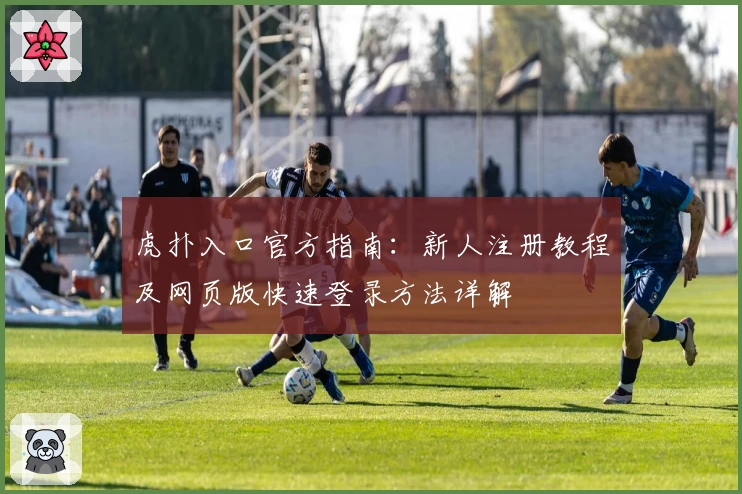 虎扑入口官方指南：新人注册教程及网页版快速登录方法详解