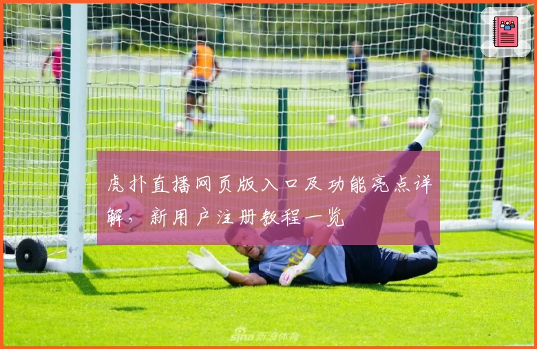 虎扑直播网页版入口及功能亮点详解，新用户注册教程一览